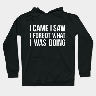 I Came I Saw I Forgot What I was Doing humor joke quote Hoodie